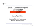 Slicer3Course DataLoadingAndVisualization SoniaPujol-DRAFT.pdf
