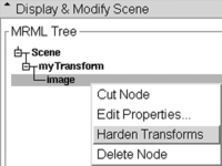 right click on the image and select "Harden Transform" from the popup menu to reorient an image