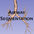 AirwaySegmentation-ICON.png