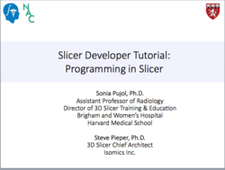 SlicerProgrammingTutorial.png